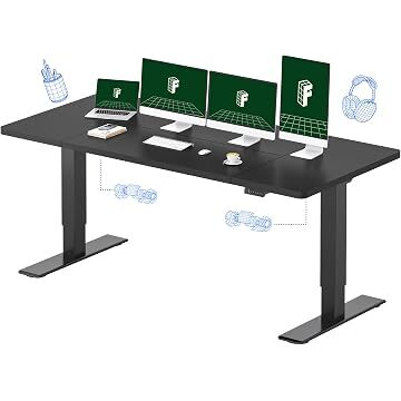 Flexispot E3B 79x32" Dual Monitor 198lb Capacity Electric Standing Desk