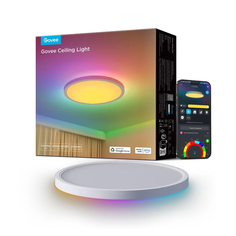 Govee Smart Ceiling Light