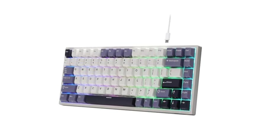 RK C84 Rapid Trigger Gaming Keyboard